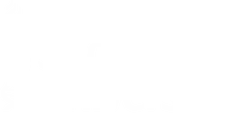 Shoolini University